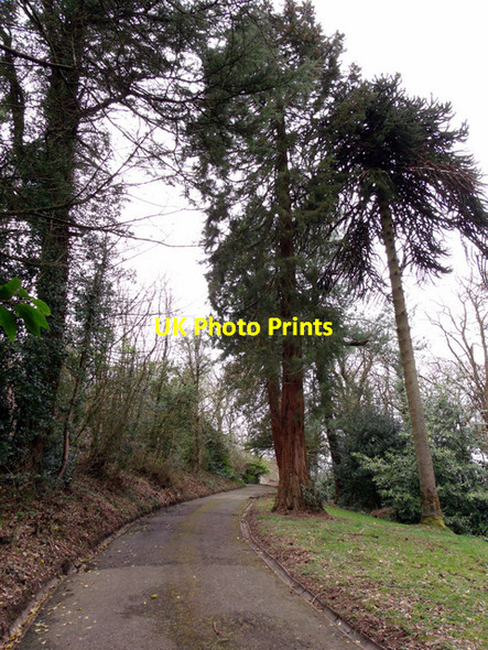 Photo 6"x4" Road in Birkmyre Park Port Glasgow c2012