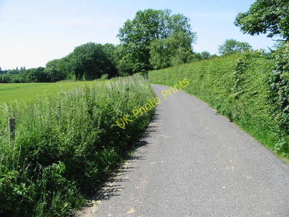 Photo 6"x4" View WNW along Reece Lane Selsted c2008