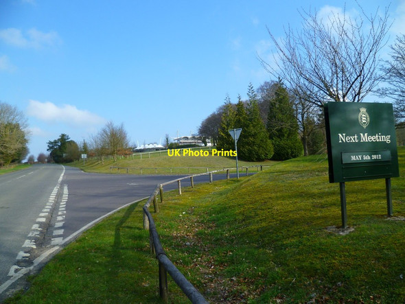 Photo 6"x4" View towards Goodwood racecourse Charlton\/SU8812 c2012