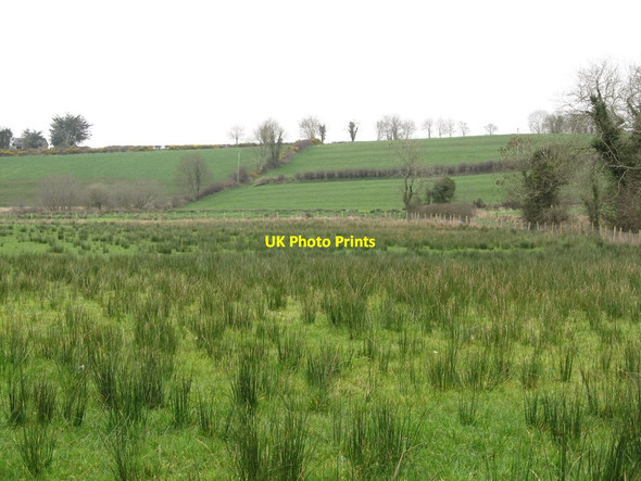 Photo 6"x4" Wet land east of Carnacally Road Milltown\/J1436 c2012