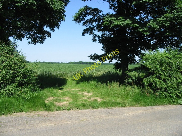 Photo 6"x4" Gap in the hedge Selsted c2008