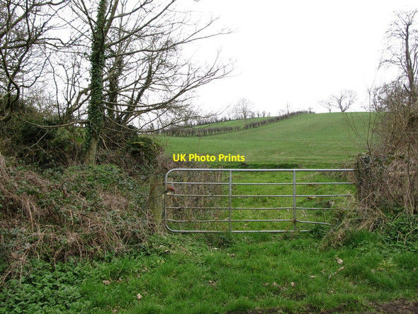 Photo 6"x4" Drumlin to the west of Carnacally Road Milltown\/J1436 c2012