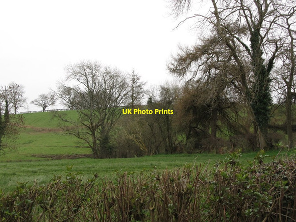 Photo 6"x4" Shelter belt on Butter Hill Milltown\/J1436 c2012