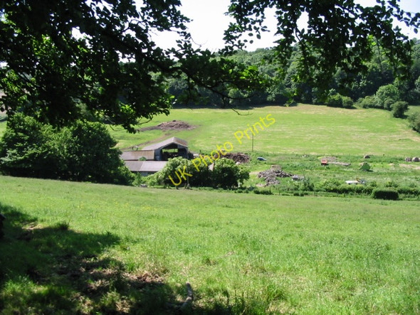 Photo 6"x4" Looking through the trees to Rakeshole Farm Selsted c2008