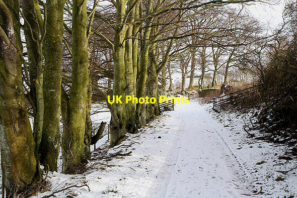 Photo 6"x4" The Southern Upland Way above Gattonside Melrose\/NT5434 c2012
