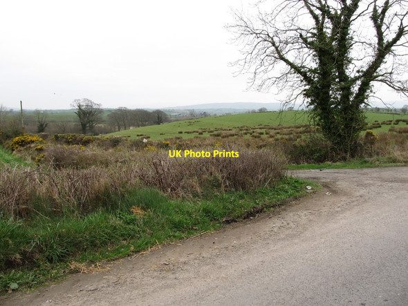 Photo 6"x4" Lane junction on the Carncally Road Jerrettspass c2012