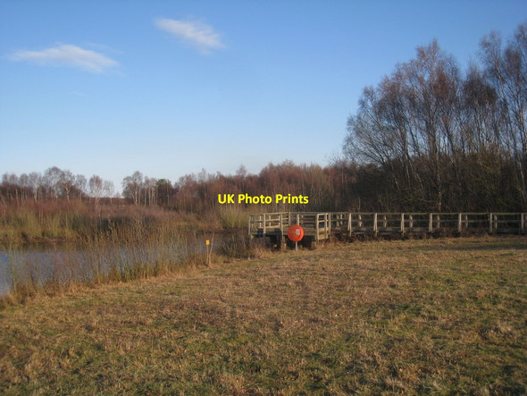 Photo 6"x4" Viewing platform Hatfield Woodhouse c2012