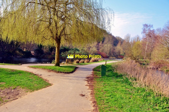 Photo 6"x4" Yeovil: Ninesprings Yeovil c2012