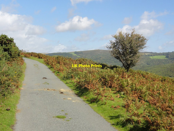 Photo 6"x4" Road around Aish Tor Poundsgate c2011