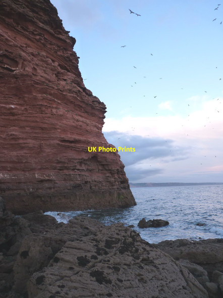 Photo 6"x4" Mid tide at Danger Point Budleigh Salterton c2012