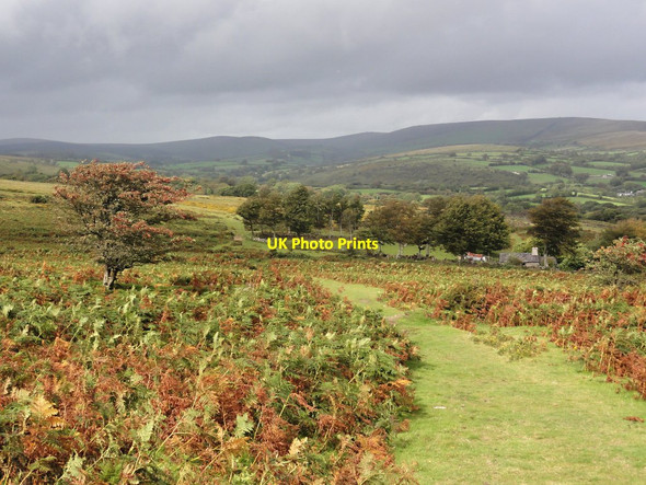 Photo 6"x4" Sherberton Common Higher Dunstone c2011