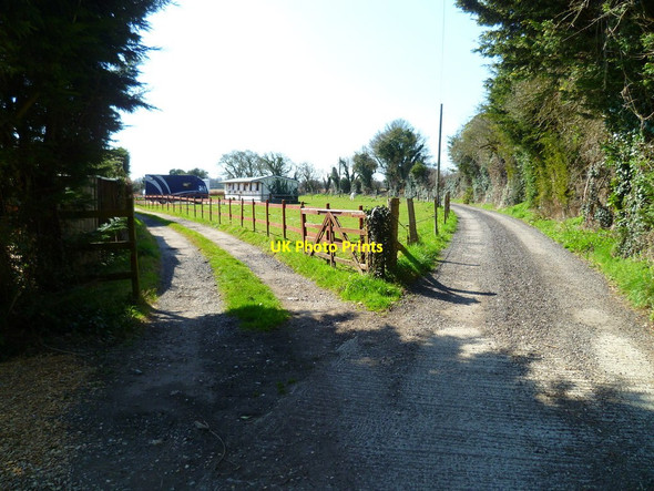 Photo 6"x4" Paddock by footpath near Fontwell Norton\/SU9206 c2012