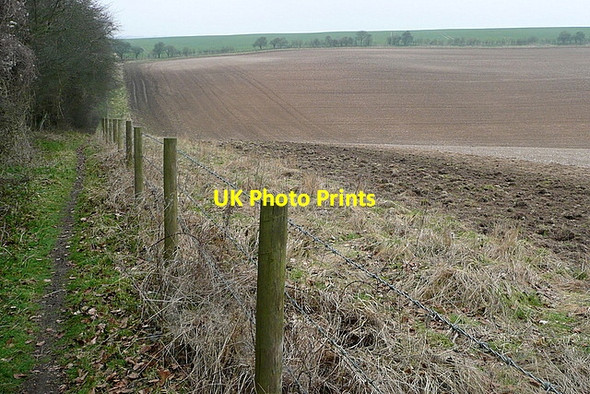 Photo 6"x4" Along the Portway Litchfield c2012 P1