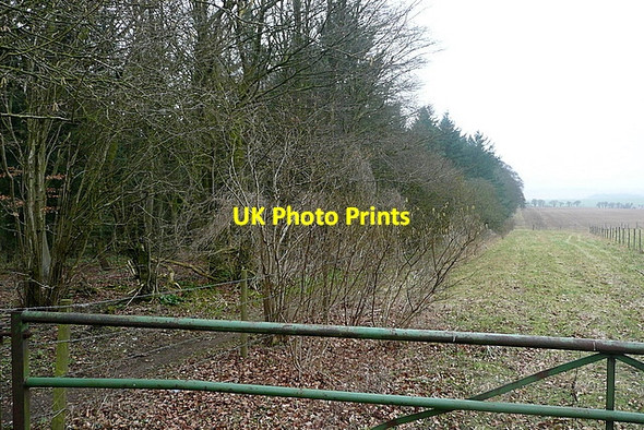 Photo 6"x4" Along the Portway North Oakley c2012