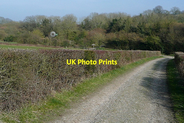 Photo 6"x4" Track above Hockley's Hole Burghclere c2012