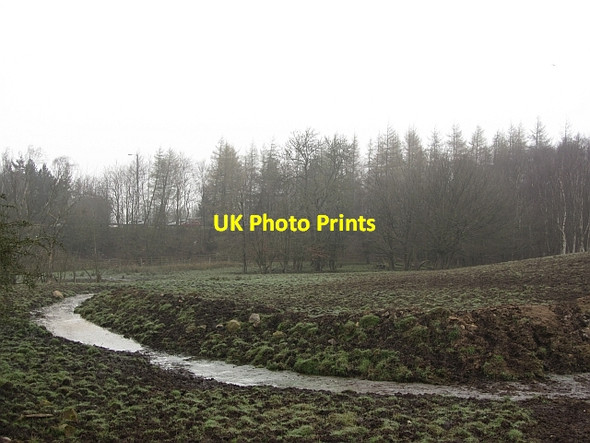 Photo 6"x4" Bannockburn Wood Bannockburn c2012