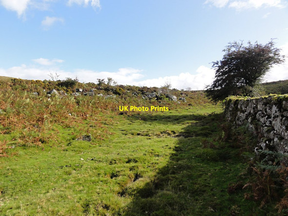 Photo 6"x4" Moorland Edge Babeny c2011