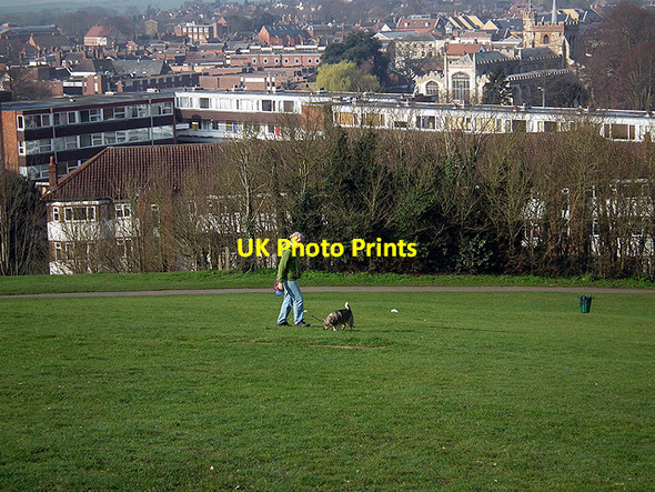 Photo 6"x4" Walking the dog on Windmill Hill Hitchin c2012