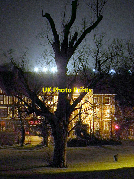 Photo 6"x4" Tree on Windmill Hill, Hitchin Hitchin c2012