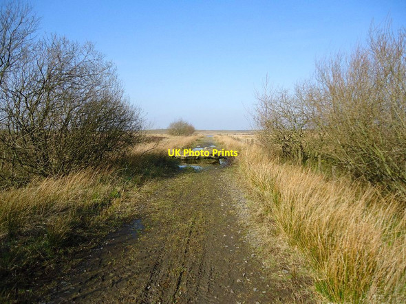 Photo 6"x4" Blackrigg, roadblock Salsburgh c2012