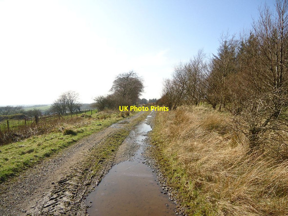 Photo 6"x4" Blackrig, track Salsburgh c2012