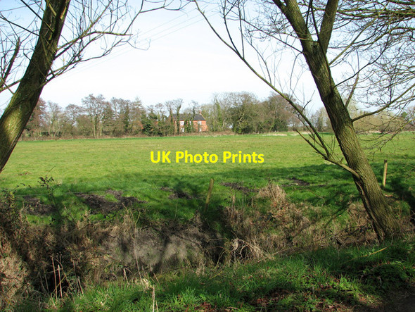 Photo 6"x4" Marsh pasture by Irstead Irstead Street c2012