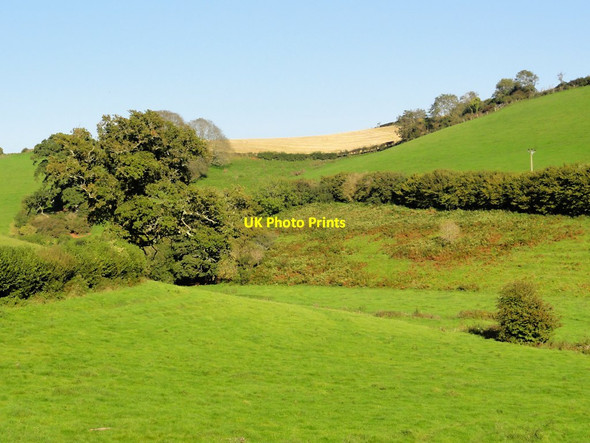 Photo 6"x4" A View Across the Valley Totnes c2011