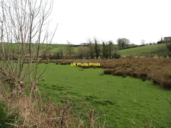 Photo 6"x4" Wetland south of the Shinn Road Milltown\/J1436 c2012