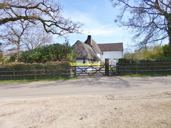 Photo 6"x4" Hyde, Vine Cottage Fordingbridge c2012