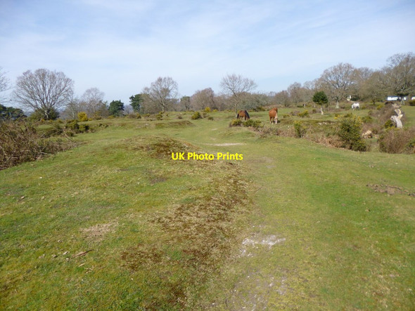 Photo 6"x4" Hyde Common, bridleway Fordingbridge c2012