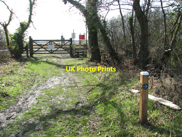 Photo 6"x4" Level crossing into Strumpshaw Fen Brundall c2012