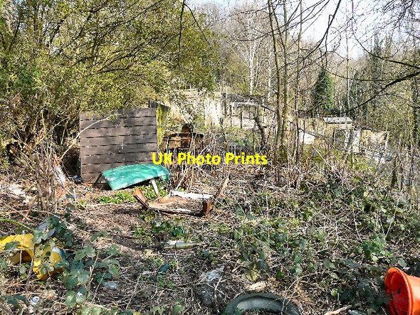 Photo 6"x4" Abandoned Allotment Hyde\/SJ9494 c2012