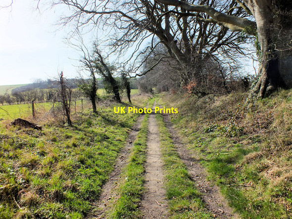 Photo 6"x4" The Roman Road Bishopstone\/SU0725 c2012