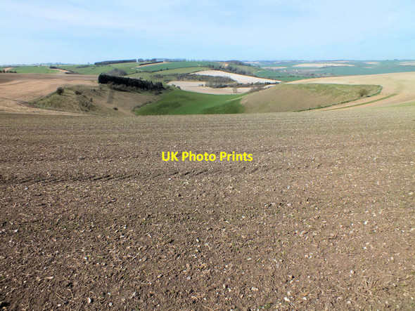 Photo 6"x4" Man mimicking Nature? Bishopstone\/SU0725 c2012