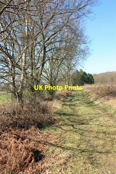 Photo 6"x4" Towards Kelbro Hill Coneysthorpe c2012