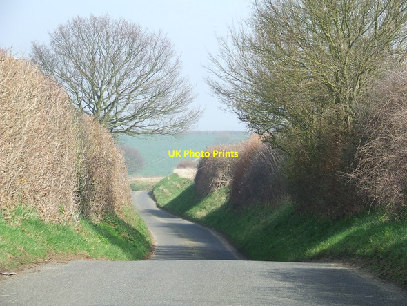 Photo 6"x4" Country Road Pannel's Ash c2012