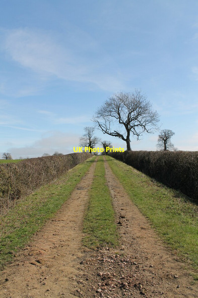 Photo 6"x4" Hell Lane, off Ermine Street Great Ponton c2012