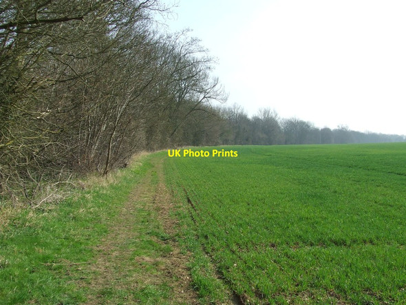 Photo 6"x4" Field Boundary Man's Cross c2012