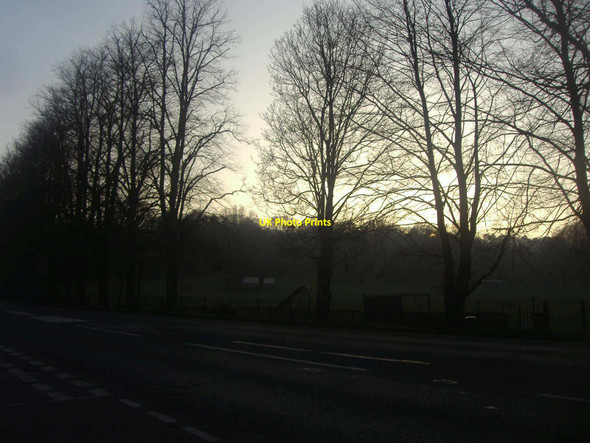 Photo 6"x4" Trees along the Ightham Bypass Ightham c2012