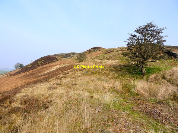 Photo 6"x4" Barcombe below south quarry Birkshaw\/NY7765 c2012