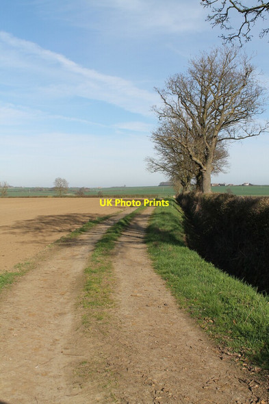 Photo 6"x4" Track near Sunnyside Farm Lenton\/TF0230 c2012