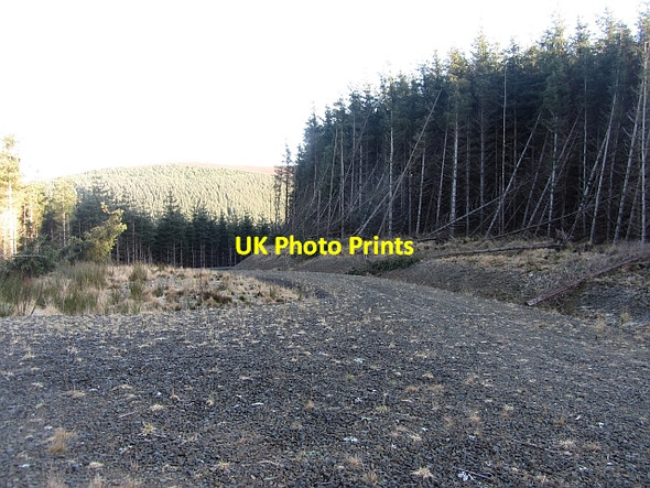 Photo 6"x4" New logging road, Glentress Forest Cardrona c2012
