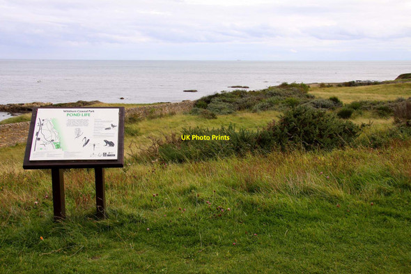 Photo 6"x4" Information board in Whitburn Coastal Park Whitburn\/NZ4062 c2011