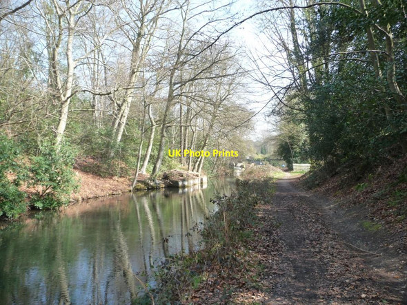 Photo 6"x4" Basingstoke Canal, east of Frimley Green Frimley c2012
