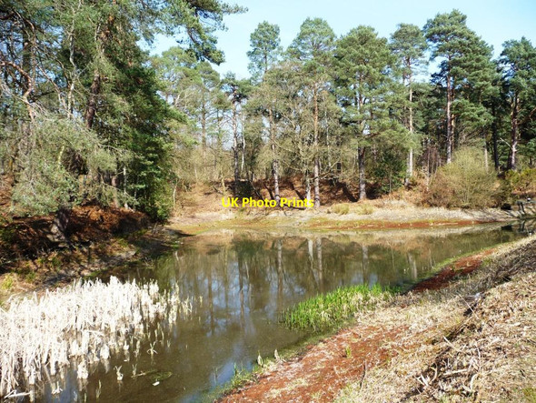 Photo 6"x4" No water in the Basingstoke Canal Pirbright Camp c2012