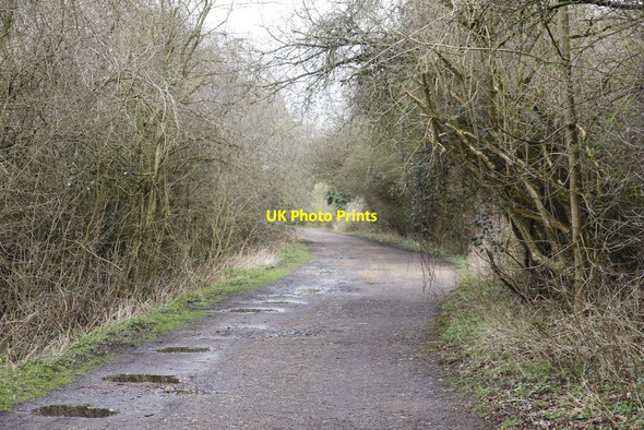 Photo 6"x4" Further along King's Somborne c2012