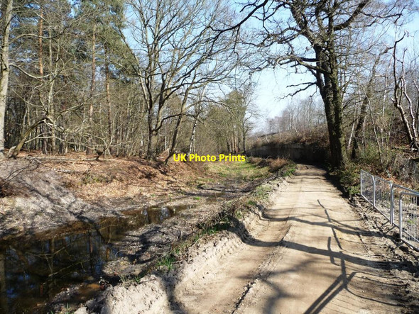 Photo 6"x4" No water in the Basingstoke Canal Pirbright Camp c2012