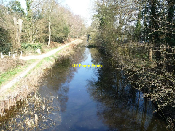 Photo 6"x4" The Basingstoke Canal Pirbright c2012