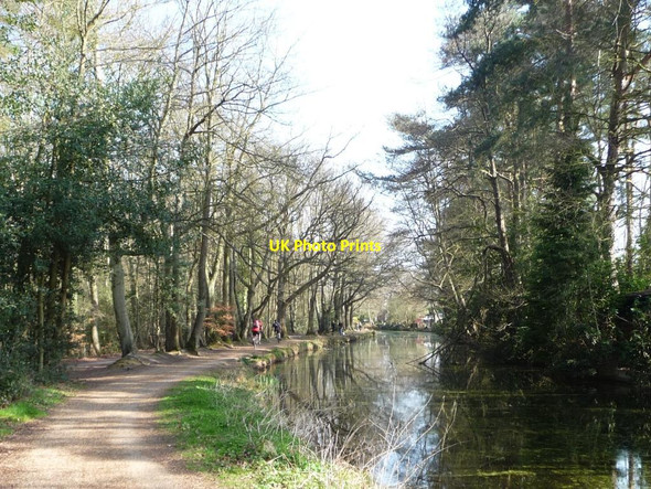 Photo 6"x4" Cyclists on the Basingstoke Canal towpath Sheets Heath c2012