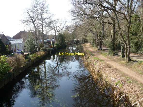 Photo 6"x4" The Basingstoke Canal Brookwood c2012